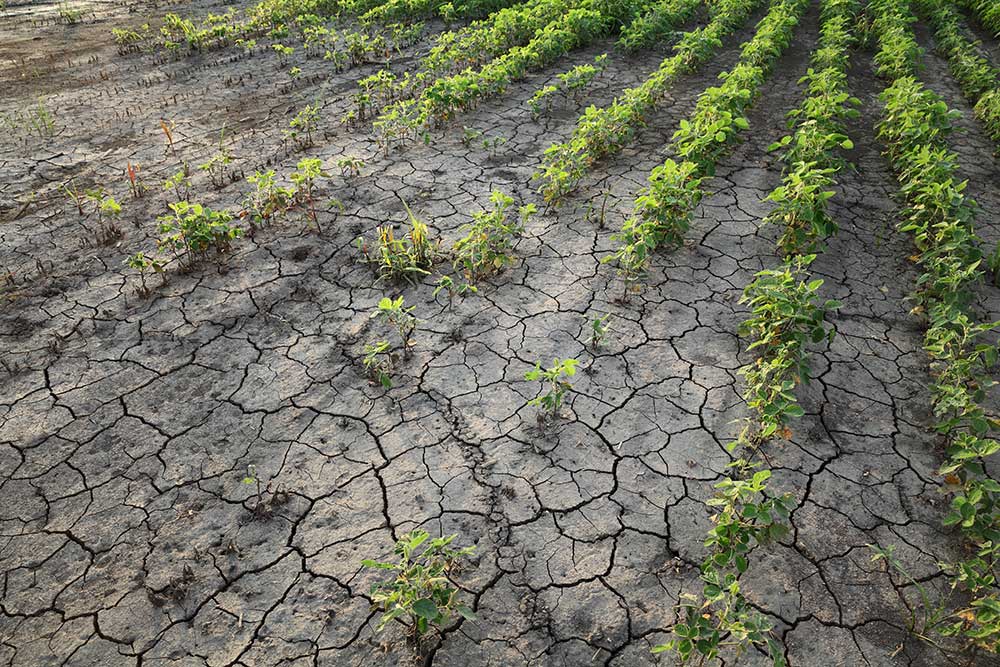 Agricoltura allo stremo, Cia Puglia incontra i Prefetti in ogni provincia