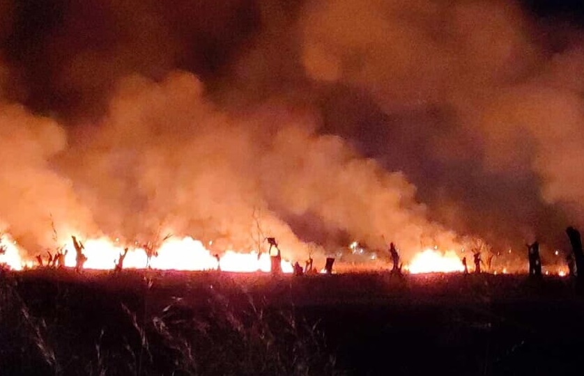 Incendi in Puglia, ecco la classifica dei comuni più colpiti