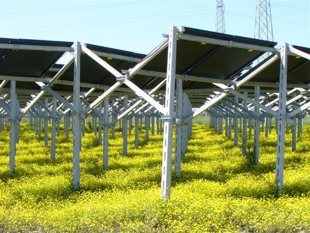 “Puglia candidata ad essere la prima regione per agrivoltaico”  