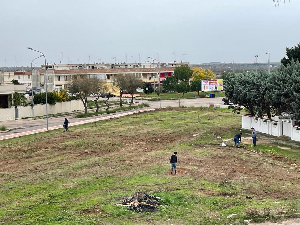 Piantumazione alberi nell’area verde di Canale Salento