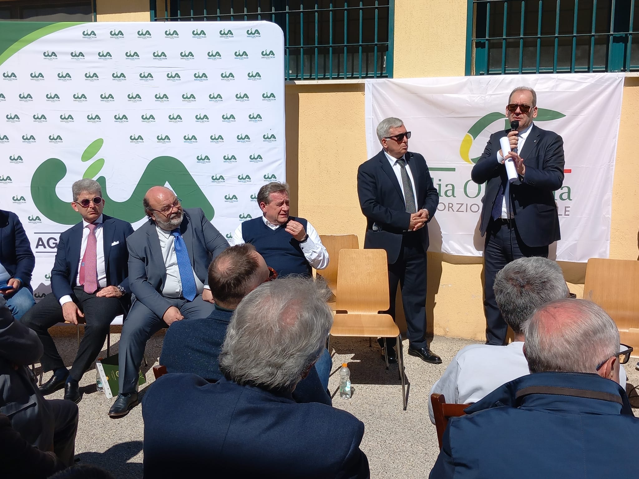 Piano olivicolo e Commissario anti-Xylella: gli impegni del Governo