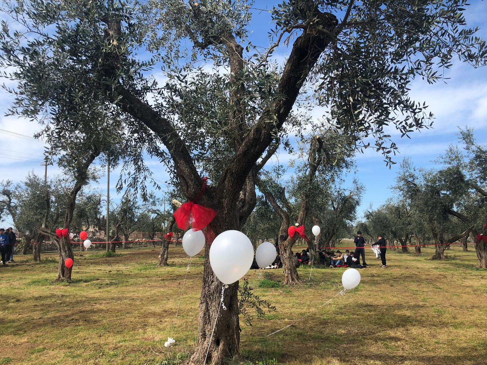 Festa Madonna della Luce. Il programma