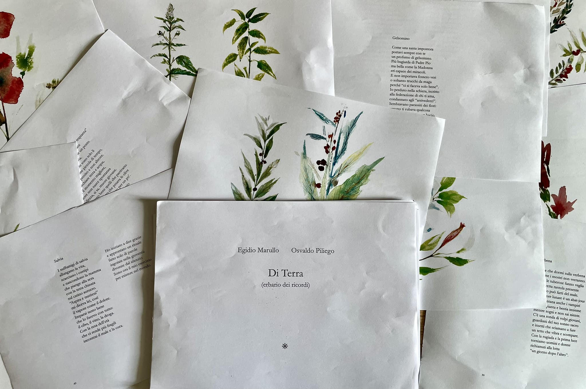 Domenica 22 dicembre a Lecce e Calimera Presentazione ufficiale del libro d’arte “Di terra (Erbario dei ricordi)” di Egidio Marullo e Osvaldo Piliego